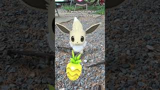 Anyone else treat their pokemon like their literal pets in Pokémon Go? 😅🩷 Love my shiny Eevee 🩷🩷