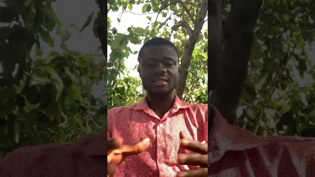 Media History and Politics, Group 1