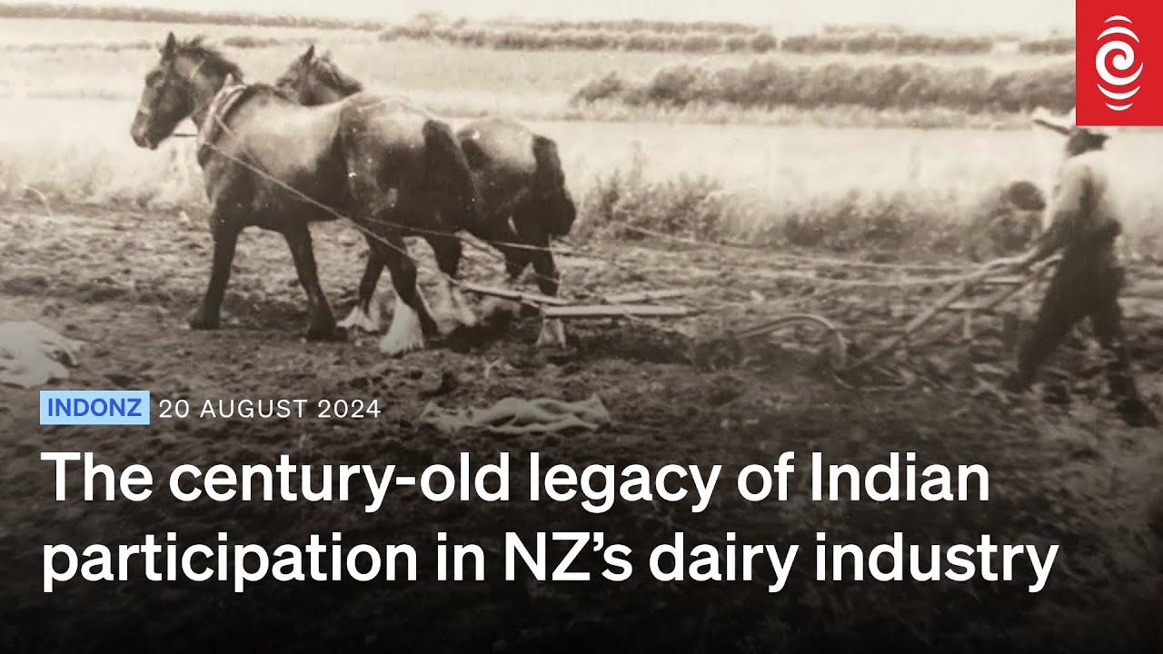 Tracing the century-old legacy of Indian participation in New Zealand’s dairy industry