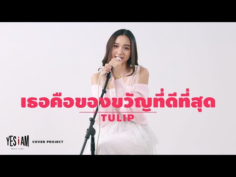 YESiAM Cover Project "Tulip" |  เธอคือของขวัญที่ดีที่สุด - ETC.