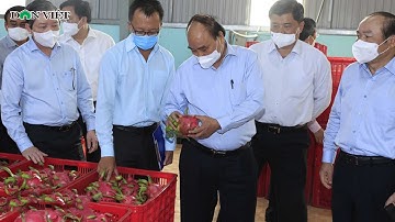 Chủ tịch Nước Nguyễn Xuân Phúc Đến Thăm Và Làm Việc Tại Hợp Tác Xã Thanh Long Lớn Ở Tiền Giang