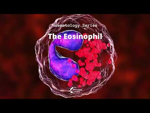 The Eosinophil