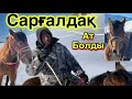 Сарғалдақ! Жазда үйреткен САР-ТАЙ. Асау.