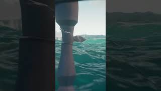 RARE SHARK ATTACK                                                seaofthieves