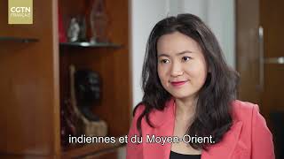 Investissements privés chinois en Afrique
