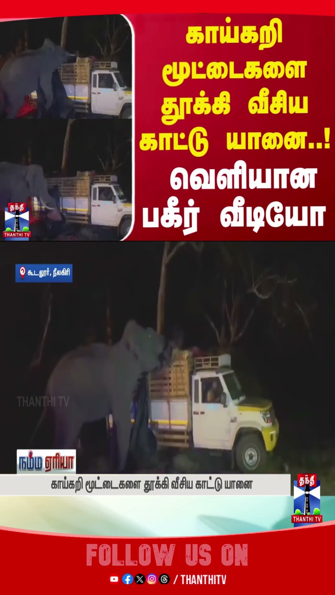 NILGIRIS || ELEPHANT || FREIGHT VEHICLE || VEGETABLES || VIRAL VIDEO ||