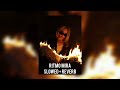 RITMO MIRA Tiktok Version RVNGE Slowed Reverb 