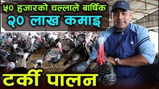 बार्षिक २० लाख कमाउन सकिने रहरलाग्दो टर्की पालन || Turkey Farming in Nepal || Turkey Palan