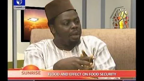 SUNRISE: Experts affirm that flood will not affect Nigeria's food security PT 4