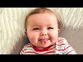 Funny Baby Videos The Cutest Chubby Baby Compilation 