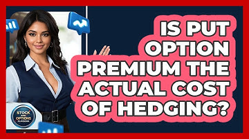 Is Put Option Premium The Actual Cost Of Hedging? - Stock and Options Playbook