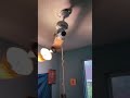 5 Ceiling Fans Wobbling With IPhone Ringtone Meme Ceilingfan Funny Shorts