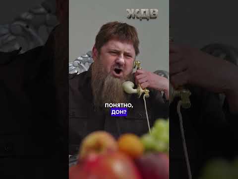 КАДЫРОВ ругается с доставкой еды @ЖДВ  #пародия #рамзанкадыров #кадыров