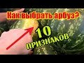 10 признаков сладкого арбуза
