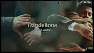 dean & castiel | dandelions 🌈