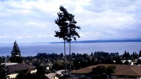 Tree Pruning (Spanish) - Chapter 1