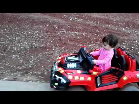 თეკლა კატაობს მანქანით