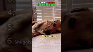 Ranking the Most HEARTWARMING DOG & CAT Moments 🐶🐱
