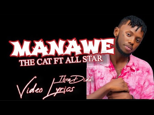 Manawe - The Cat - Feat All stars -Video Lyrics @chrisseazy_ class=