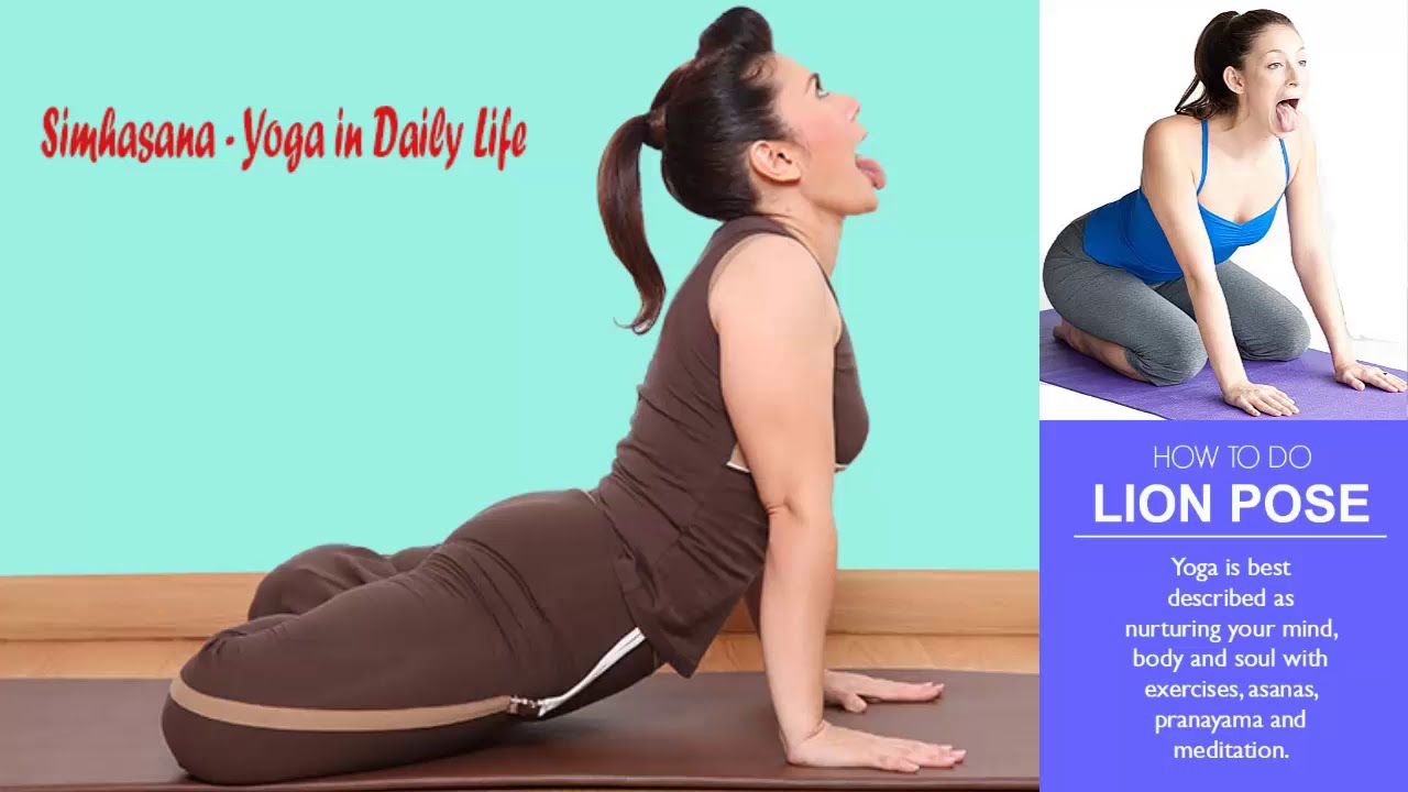 Simhasana How Do Yoga | Pose Lion And its to Benefits. How Do And Simhasana Pose Lion to | Benefits. Yoga its