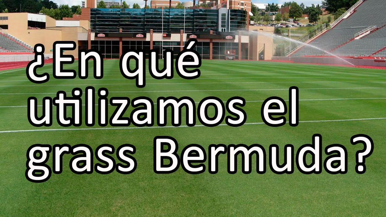 EN QUE UTILIZAMOS GRASS BERMUDA YouTube EN QUE UTILIZAMOS GRASS BERMUDA YouTube