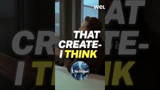 True Wealth 💎✨ | Beyond Net Worth & Into Real Fulfillment