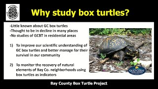 Bay County Box Turtle Project - Citizen Science Lecture Series Presentation