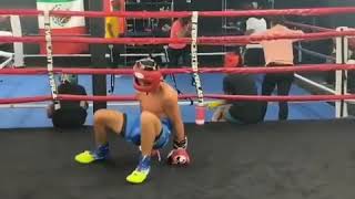 Boxing Highlights Knockout