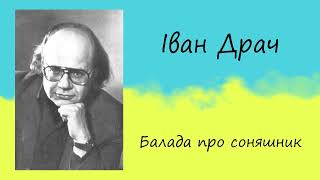 Іван Драч - &quot;Балада про соняшник&quot; | Вірш | Слухати онлайн