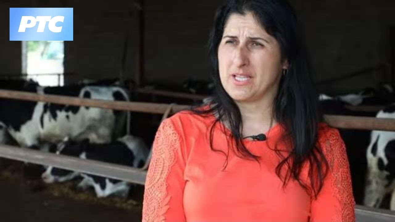 Balada o selu / Beška