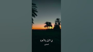 تصويري النخيل/ مع صوت القرآن الكريم يشرح الصدور /الشيخ محمد صديق المنشاوي.