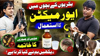 (1187)Use of ivermectin in Goats kids 