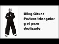 Posturas y pasos del sistema Wing Chun