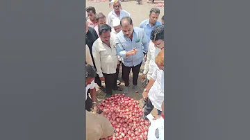 Solapur Apmc Market Yard Today Farming Maharashtra Shetkri Onion Farmer Market Kanda Bajar Bhav 