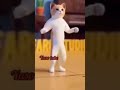 قريب ولا بعيد القطة المشمشية الترند  