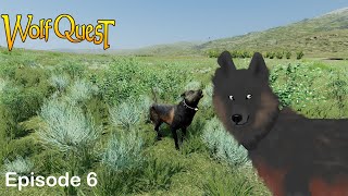 Poor Little Eagle | Robin Episode 6 | Litter 1 | Season 1 | WolfQuest