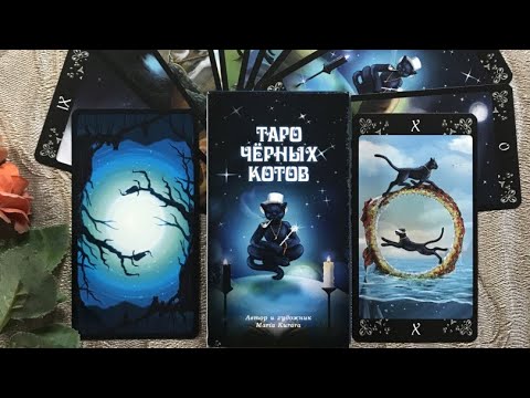 Обзор колоды таро Черных Котов ( Tarot Black Cats)