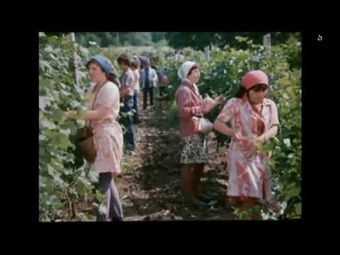 სიმღერა ახალსოფლის მთებზე კ/ფ \"სიყვარული ყველას უნდა\"