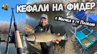 Кефали с фидер на р Марица в гр Пловдив - Feeder Fishing