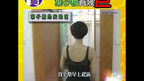 【大台宝藏】叶子楣巨Home睇楼团 - 天天要闻