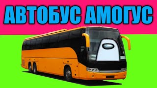 Автобус Амогус