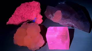 Minerals Fluorescing Under Different UV Wavelengths