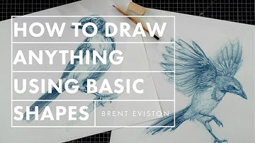 The 5 Questions That Let You Draw Anything