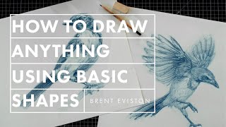 How to Draw Anything Using Basic Shapes