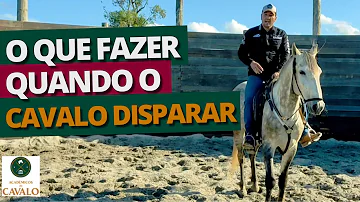 O que fazer quando o cavalo está disparando?