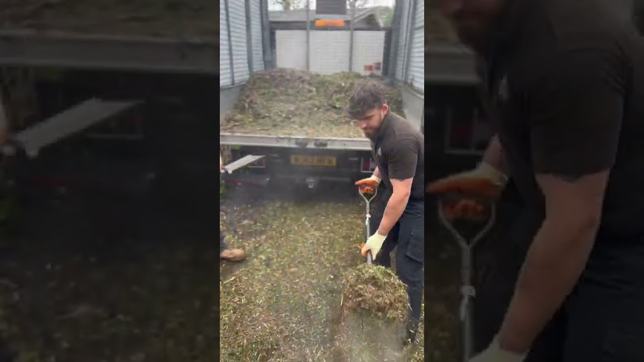 Green Waste Removal Bournemouth Poole Christchurch Dorset - DMG Waste Management.