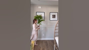 Using real ones #homedecor #homeinspiration #homeinterior #diytips #wainscoting #entrywaydecor