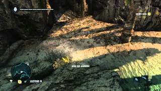 Assassin's Creed IV: Black Flag - Weird Glitch