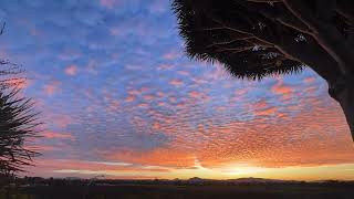 Balboa Park Golden Hour Time-Lapse Sunrise by Divine Desert Destination 366 views 3 months ago 36 seconds