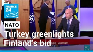 Turkey greenlights Finland's NATO accession process, but still blocks Sweden • FRANCE 24 English